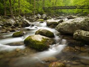 Great Smoky Mountains National Park