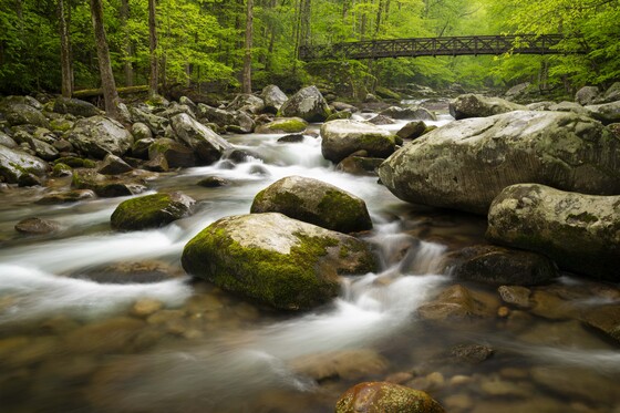 Great Smoky Mountains National Park