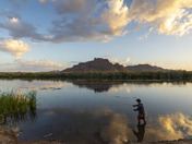 Tonto National Forest