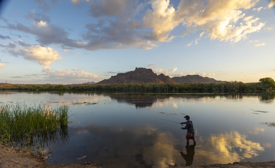 Tonto National Forest
