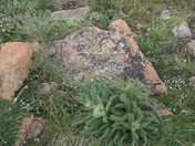 Rocky Mountain National Park