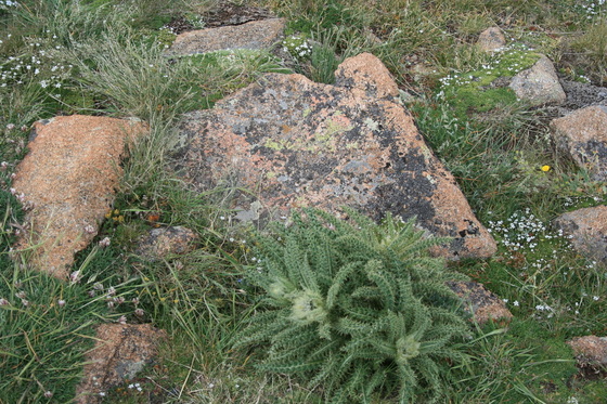 Rocky Mountain National Park