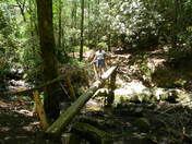 Great Smoky Mountains National Park