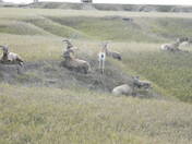 Badlands National Park