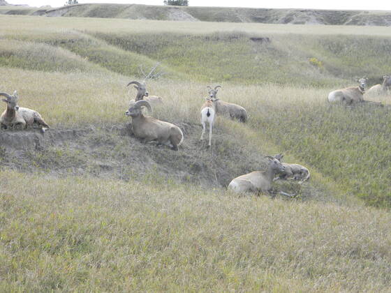 Badlands National Park