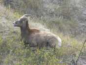 Badlands National Park