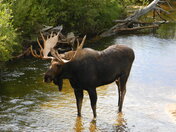 Rocky Mountain National Park