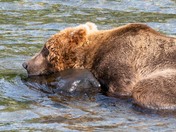 Katmai National Park and Preserve