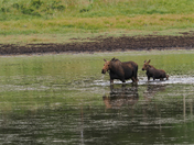 Pike-San Isabel National Forest