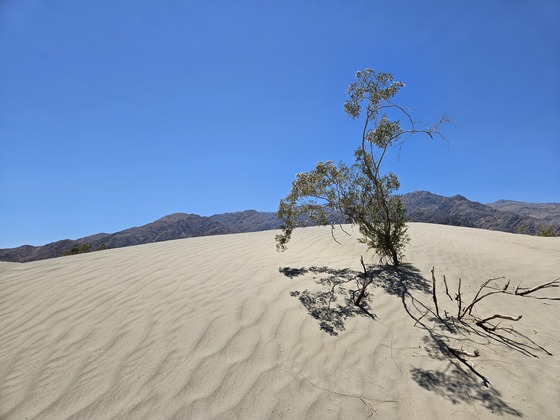 Death Valley National Park