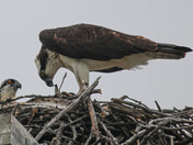 I Got My Eye on You!