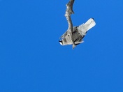 Rocky Mountain National park 