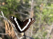 Rocky Mountain National Park