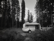 Yosemite National Park