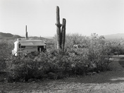 Saguaro National Park