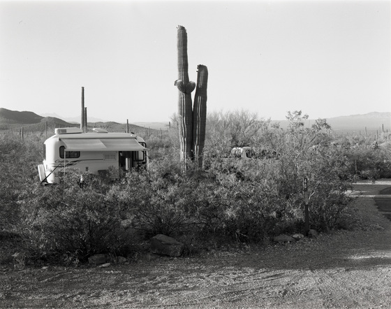 Saguaro National Park