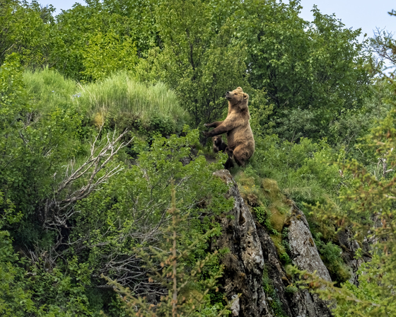 Katmai National Park, Alaska