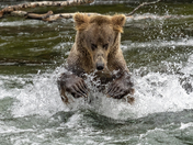 Katmai National Park, Alaska