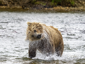 Katmai National Park, Alaska