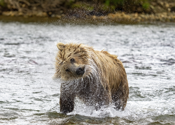 Katmai National Park, Alaska
