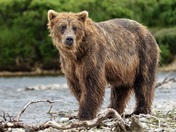 Katmai National Park, Alaska