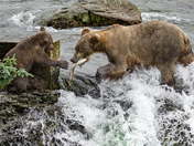 Katmai National Park, Alaska