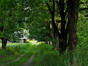 Abandoned Farm Yard