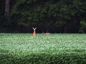 Mom And Her Kids