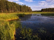 Near sunset on Amiskowan. 