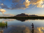 Tonto National Forest