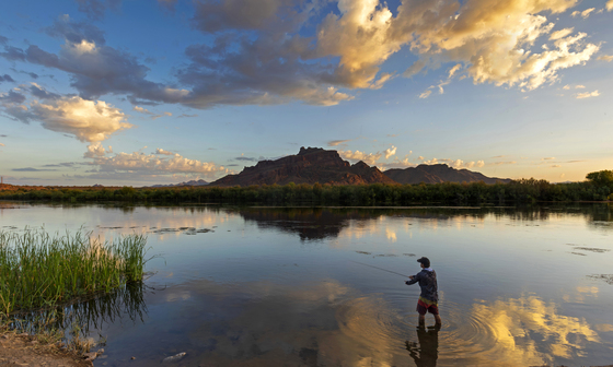 Tonto National Forest