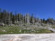 Yellowstone National Park