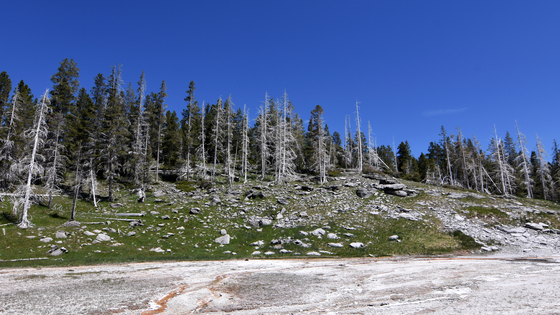 Yellowstone National Park