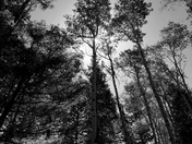 Grand Teton National Park