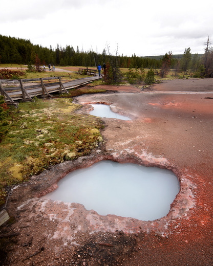 Yellowstone National Park