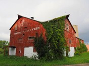 Martyn's Turkey Farm