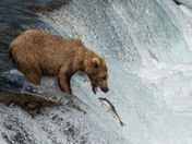 Katmai National Park and Preserve