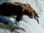 Katmai National Park and Preserve