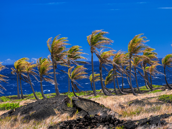 Hawaii Volcanoes National Park
