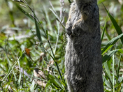 Grand Teton National Park