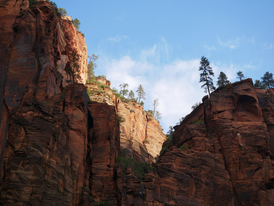Zion National Park