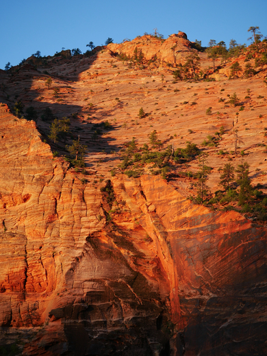 Zion National Park