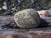 Opportunities Disguised