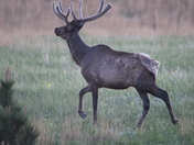 Wind Cave National Park