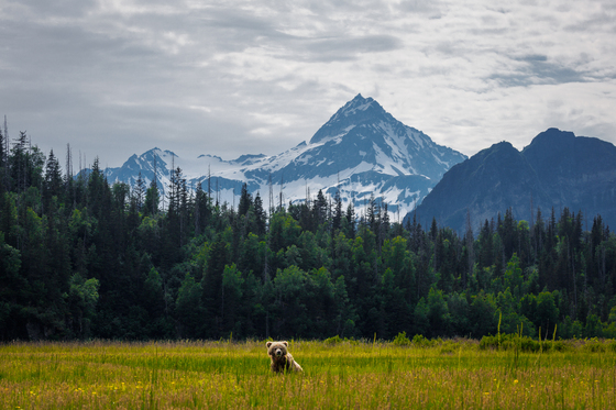 Lake Clark National Park 