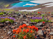 Three Sisters Wilderness