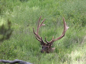 Yellowstone National Park
