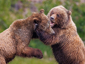 Lake Clark National Park 