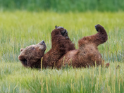Lake Clark National Park