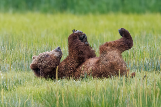Lake Clark National Park